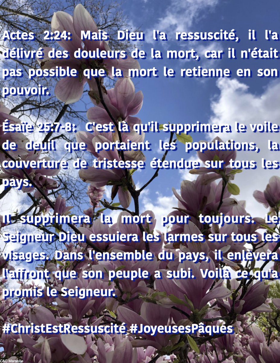 Clifford Marseille Marsclifford Twitter