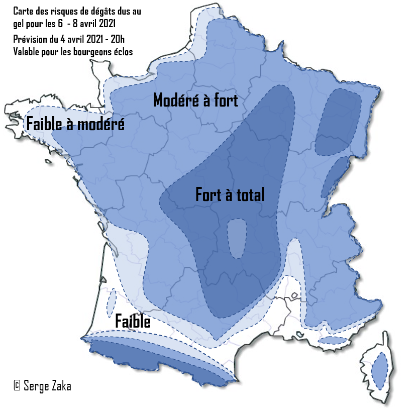 Dr. Serge Zaka (Dr. Zarge) tweet media