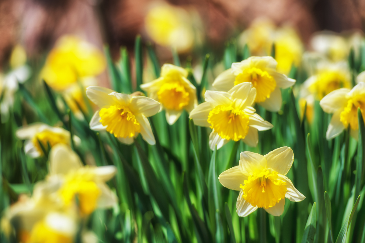 Happy Easter from the Quiet Corner!