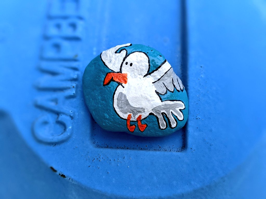 aPaintedRock's tweet photo. In your hunt for Easter eggs, watch for seagulls! #paintedrocks #rockpainting https://t.co/ajwQ4fyISg
