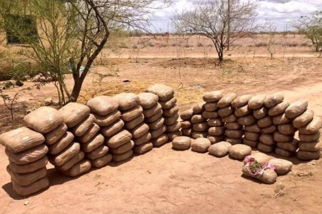modi_juma's tweet photo. Drug-trafficking is on a rise,after Lamu MCA was arrested of involving in drug related offences, yesterday in Eldored, police arrested drug-trafficking suspects including five students. Today in Wajir county two suspects were arrested ferrying 93 bales of bhang. #StopKillingMen https://t.co/abJ5NC1Sjk