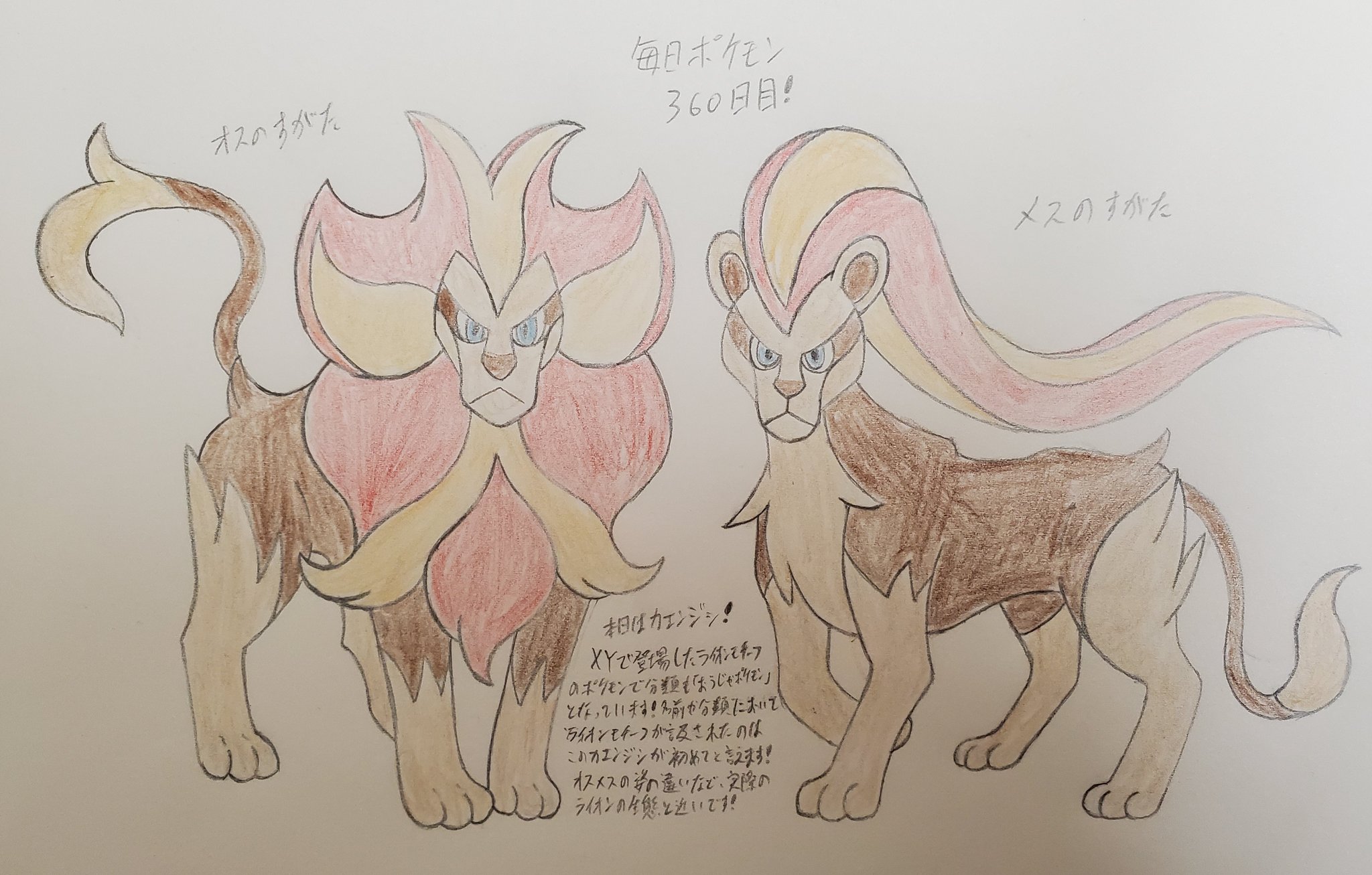Runner Hiro Runrun 常識を超える 毎日ポケモンお絵描き 360日目 4 4は数字の並びから 獅子の日 ということで Xyにて登場したライオンモチーフのカエンジシを描きました 実際のライオンのように たてがみの有無などオスとメスの姿に違いが出ているの
