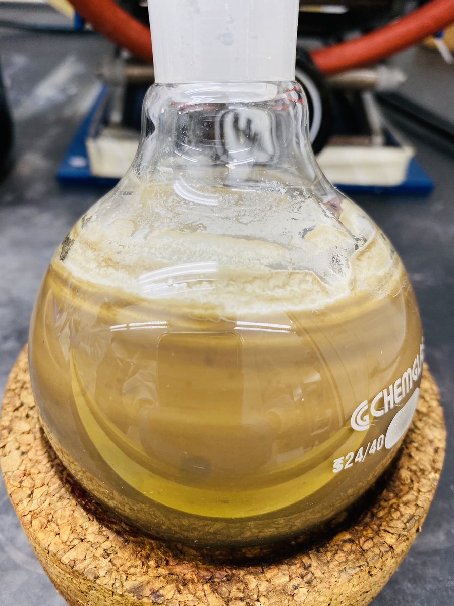 Maria Ferree (@ferree_maria) on Twitter photo Got our personal #Saturn in a flask with <a href="/AliyahFakim/">Aliyah Fakim</a> <a href="/ShmsLab/">Khashab Group-ShmsLab</a> 👩🏼🔬👩🏽🔬⚗️
#Suzuki #AcademicTwitter #space #Chemistry #KAUST Got our personal #Saturn in a flask with <a href="/AliyahFakim/">Aliyah Fakim</a> <a href="/ShmsLab/">Khashab Group-ShmsLab</a> 👩🏼🔬👩🏽🔬⚗️
#Suzuki #AcademicTwitter #space #Chemistry #KAUST