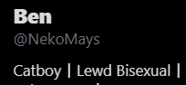 lolwhatanerd's tweet photo. guys. i think i must do it. i think i must block @NekoMays . i didnt want to, but lewd isnt my thing man.

cause that shit is damn kinky ok boy go to your femboy hooters lands https://t.co/yTJAoiIWa6