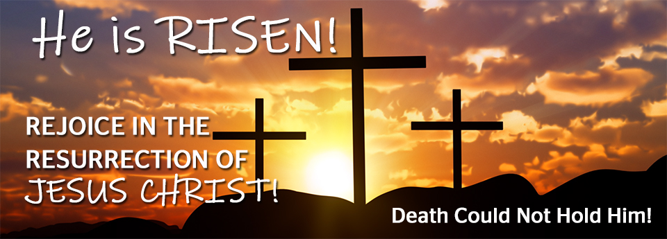 ymitraining's tweet image. 