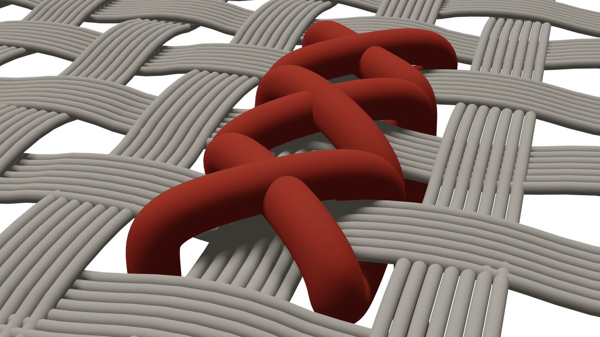 snailsnail's tweet image. 404