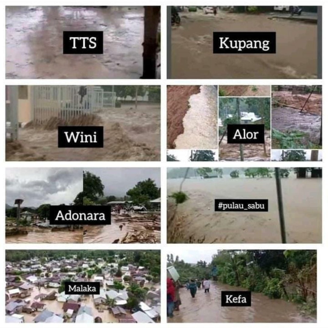 Sudah 5 hari hujan deras, angin kencang serta gelombang tinggi melanda NTT. Akibatnya, 54 orang meninggal dunia, ribuan orang mengungsi, dan ribuan rumah terendam banjir

Oleh karena itu kami membuka donasi. Kalau setiap followersku berdonasi 10K, bisa terkumpul 362 Juta🙏🏻