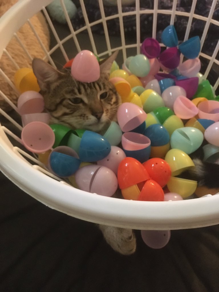 RBruneck's tweet photo. Hoppy Easter https://t.co/tBfAYO8TFf