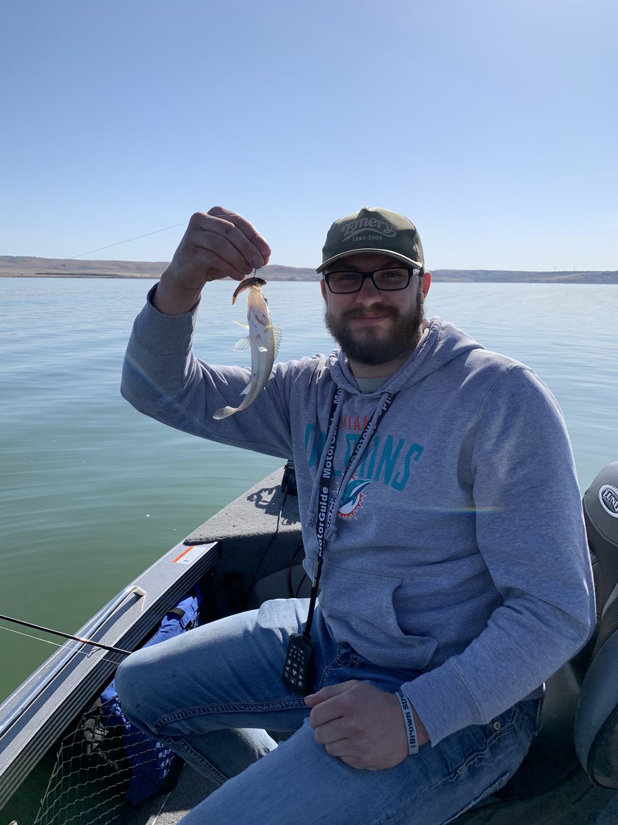 Catching hogs!! #DippinNRippin #BUSCHHH