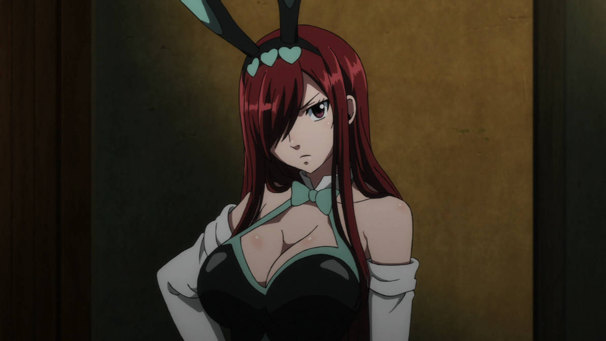 Bonus Bunny Erza Pics.