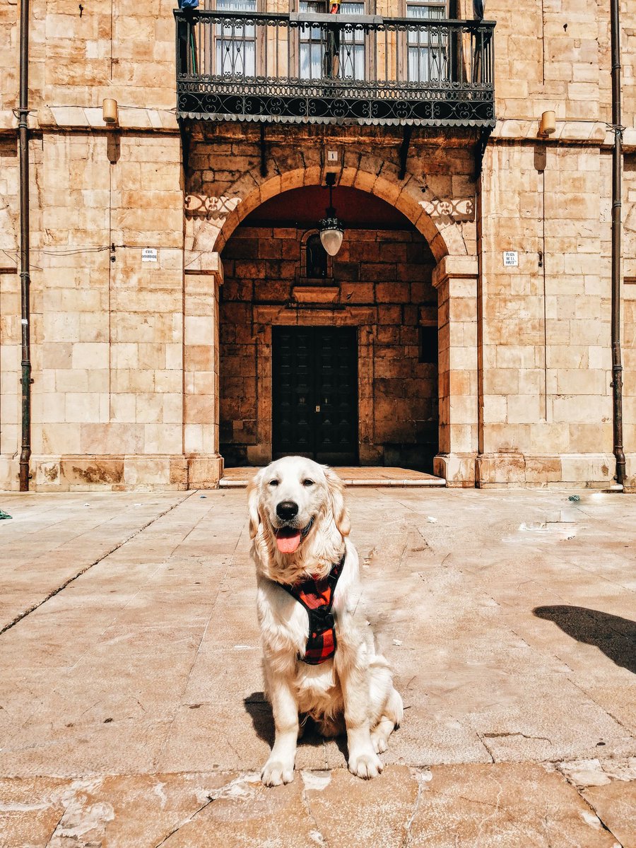 RetrieverCooper's tweet photo. Feliz Domingo de Pascua.🐰🥕🐇 Conociendo lugares de mi comunidad.  #Easter #DomingodeResurreccion #Asturias 
.
.
Happy Easter Sunday. 🐰🥕🐇 I am discovering places in my community. #Easter #Easter2021 #DomingodeResurreccion #Asturias https://t.co/JdbwRGmHDc