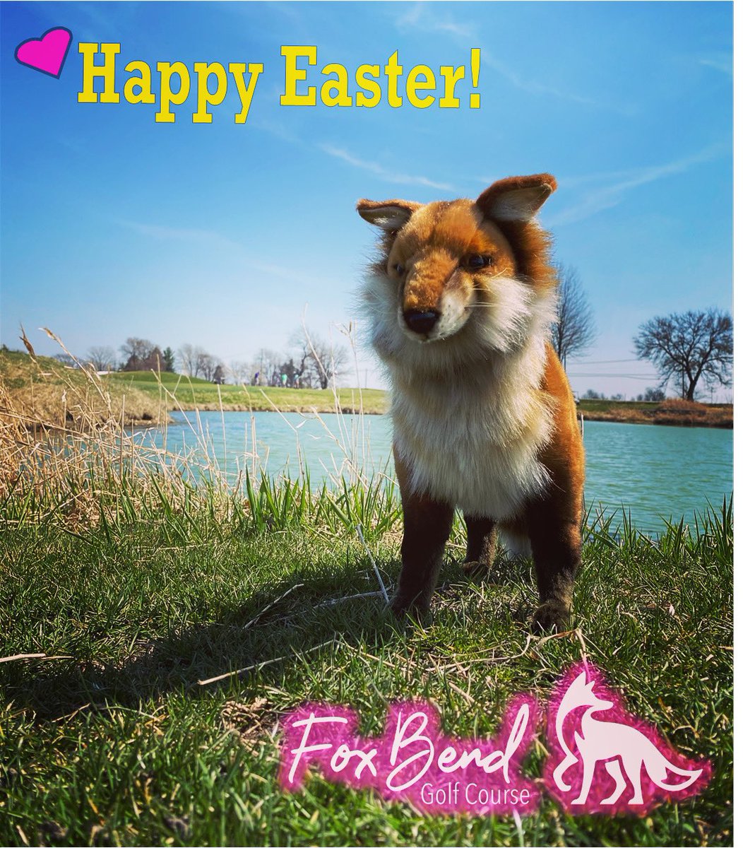 #SeymourGreens hunted all the "golf eggs" 😋 May everyone enjoy this beautiful #Easter Sunday; from our "backyard" to yours! 🐰🌸