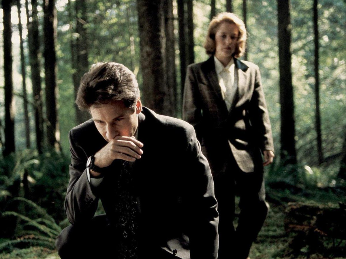 David Duchovny almost turned down 'X Files' for pal's TV movie