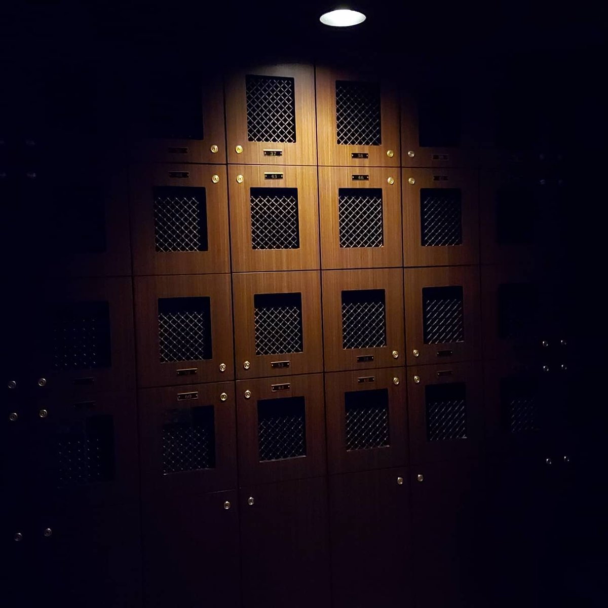 BurbinBabe's tweet image. Missing Traverse City already. Take me back!! Love the Low Bar 🥰

@lowbartc 
@BuffaloTrace

#elmertlee #bourbon #whiskey #lowbar #traversecity #whiskeylife #whiskeygram #whiskeylover #whiskeywoman #bourbonlovers #bourbonporn #bourbongirl #speakeasy #underground