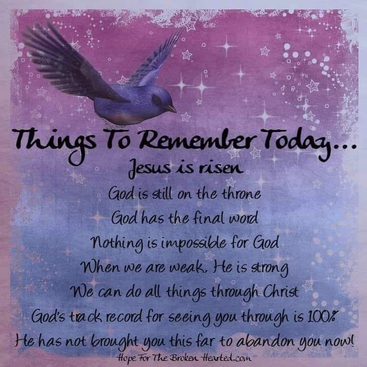 SharonSrock's tweet photo. Easter's WORDS OF WISDOM https://t.co/N7iUwjbCKx