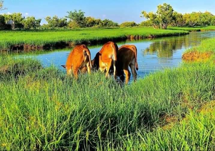 HFaahiye's tweet photo. Halkani waa #Kismaayo Somalia.💙 https://t.co/fTcaI5nBUD