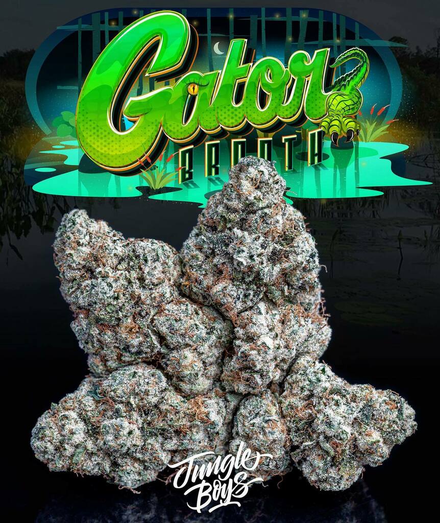 Jungle Boys OC (@jungleboysoc) on Twitter photo OC getting a mouthful of jungle gas!⛽️🔺🐊
#GatorBreath 3 (Motor Breath x TKBX1)
Cultivated by <a href="/jungleboys/">Jungle Boys</a>oc x Bred & Selected by @jungleboys 🔥
.
.
.
#playingwithfire #jboc #orangecounty #orangecountyfarmers #wepackdifferent #motorbreath #tkbx1 #fla… instagr.am/p/CNQeqZFh-nY/ OC getting a mouthful of jungle gas!⛽️🔺🐊
#GatorBreath 3 (Motor Breath x TKBX1)
Cultivated by <a href="/jungleboys/">Jungle Boys</a>oc x Bred & Selected by @jungleboys 🔥
.
.
.
#playingwithfire #jboc #orangecounty #orangecountyfarmers #wepackdifferent #motorbreath #tkbx1 #fla… instagr.am/p/CNQeqZFh-nY/