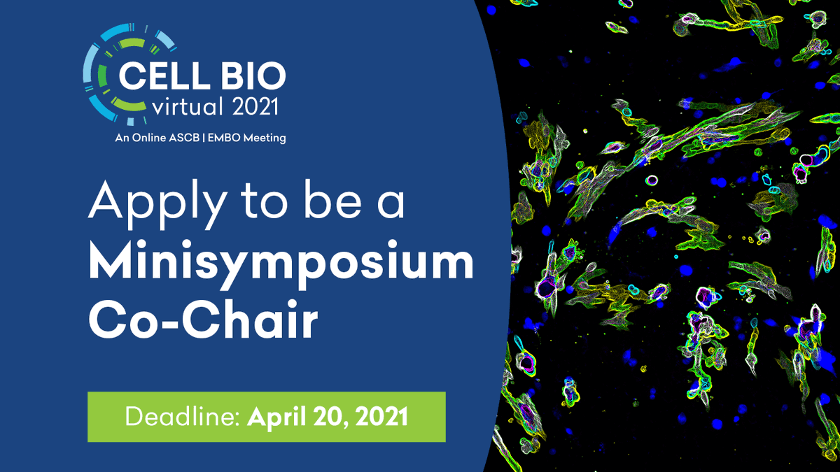 ASCBiology's tweet photo. Do you want a leadership role at the world's largest meeting for cell biologists? Find out how to apply by April 20 and the process involved in coordinating a session. #bethechange #cellbio2021
https://t.co/iiBiD62dqp https://t.co/oNQO4G0DrN