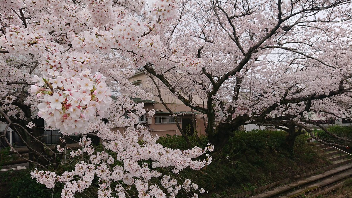 エール ロケ地 撮影秘話 最新情報まとめ みんなの評価 レビューが見れる ナウティスモーション 5ページ目