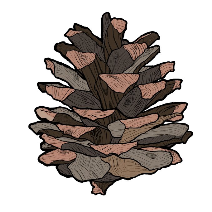 松ぼっくりのtwitterイラスト検索結果