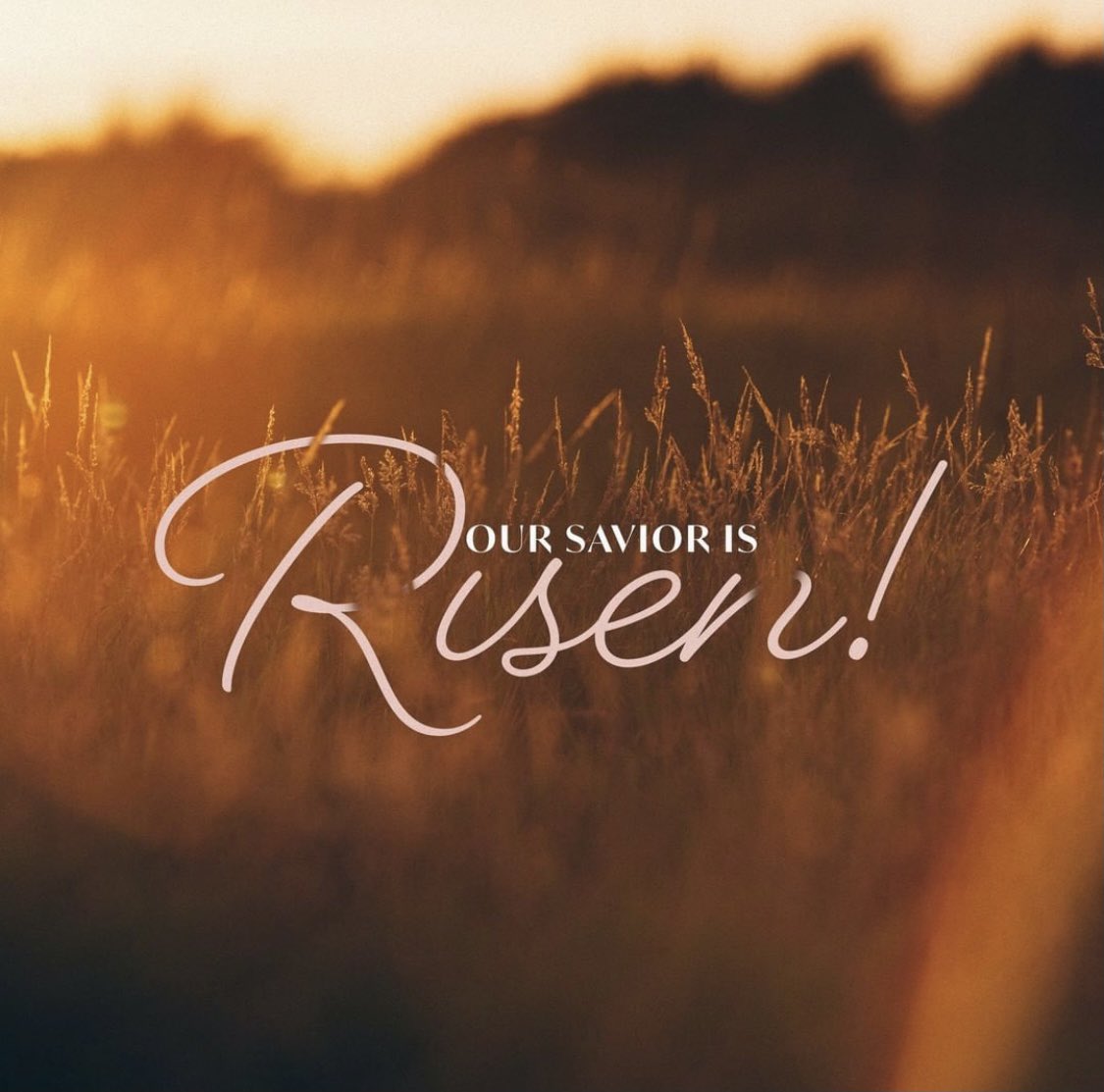 SheilaGrantTV's tweet photo. Father God, thank you for the gift of your Son, Jesus. 
✨
Happy Resurrection Sunday!!! https://t.co/8VUNFEaUeP