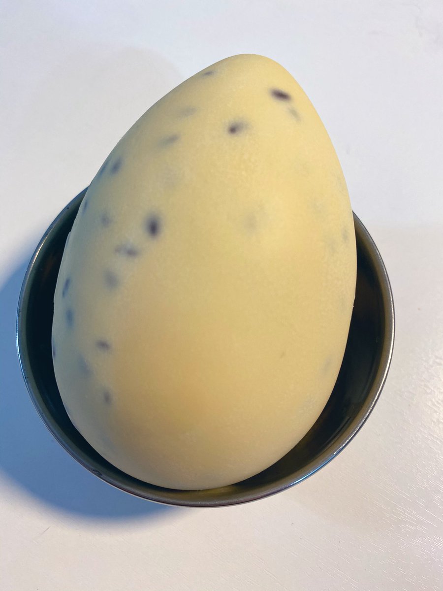 Gus ✏️ tweet media