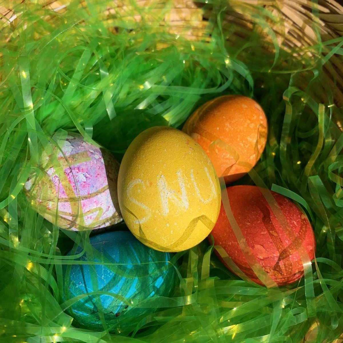 Happy Easter from the Gentlemen of Sigma Nu!

#LHT
#SigmaNu
#SigmaNuNIU
#LoveHonorTruth
#SigmaNuThetaEta