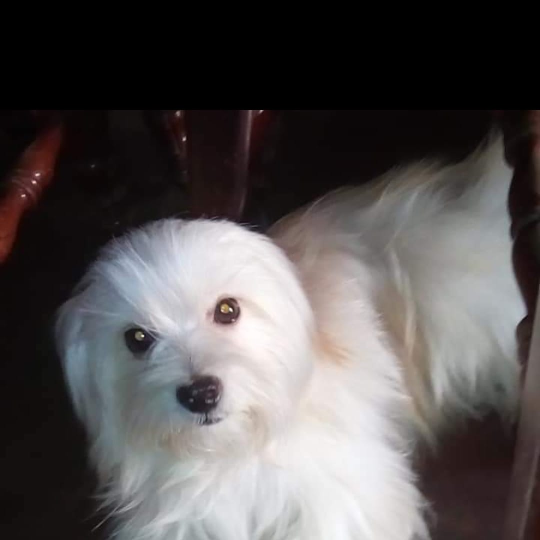 Jonathan20_98's tweet photo. Mi hijo <3 https://t.co/GdXDPABo3h