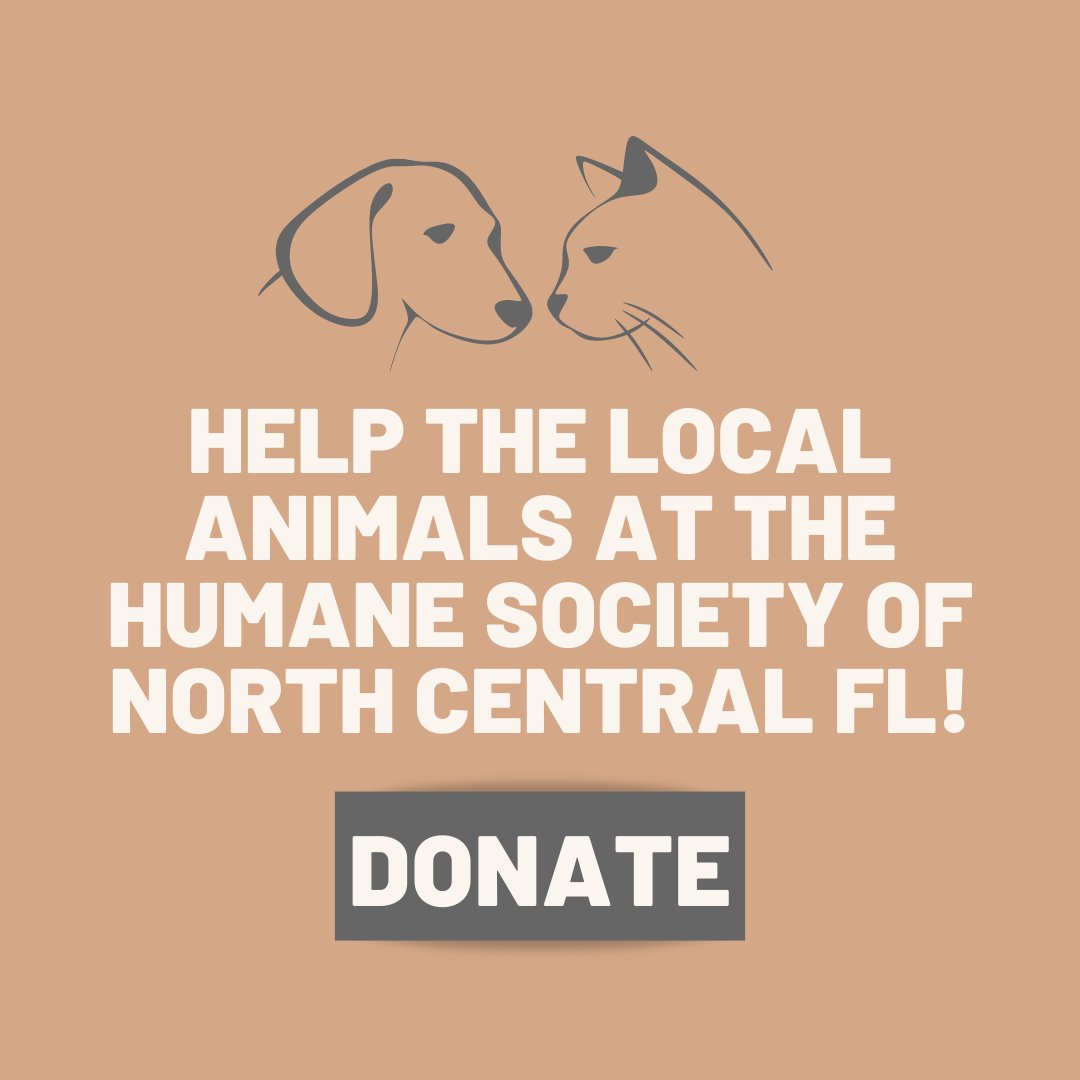UniversityFur's tweet photo. WE'RE SO CLOSE TO OUR GOAL! Donate to help local animals today. Link in bio. https://t.co/m7CCkAtDrZ