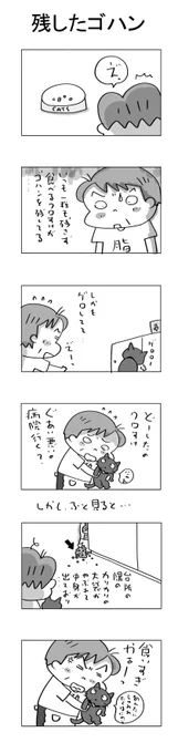 残したゴハン#こんなん描いてます#自作マンガ #漫画 #猫まんが #4コママンガ #NEKO3 