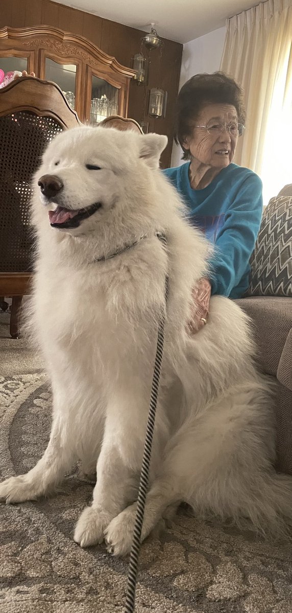 emma tani tweet media