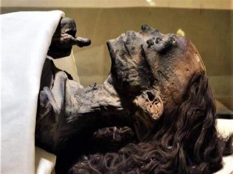 زاهي حواس يحسم الجدل ويكشف سر جمال الملكة تي حتي الآن صدى البلد البلد