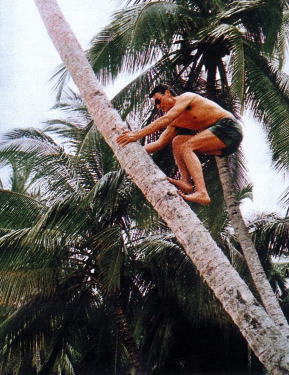 Vêm aí as tropas do general Louçã.
SALVE-SE QUEM PUDER!