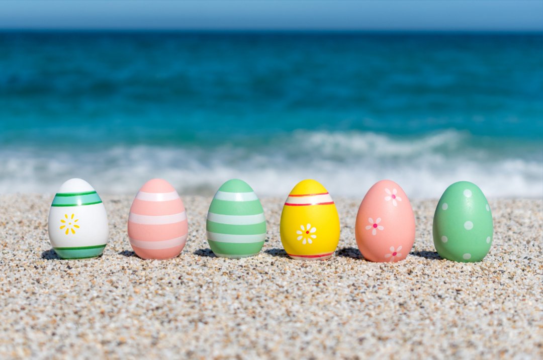 ShoreSiteDesign's tweet photo. Have a Happy Easter, Everyone 🐣 https://t.co/T8BOU3buNq