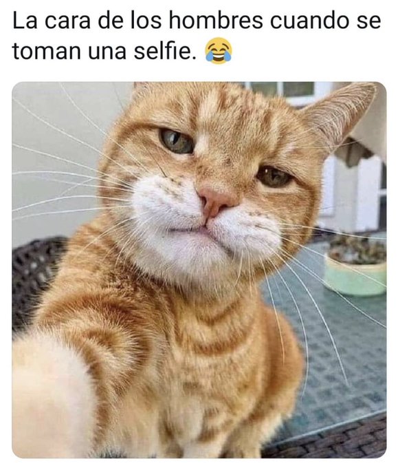 Es verdad, todos est&aacute;n as&iacute; xdxdxd https://t.co/DlAdE9czHi<a href="/tag/bodawerocat"class="tags"><span>#bodawerocat</span></a>