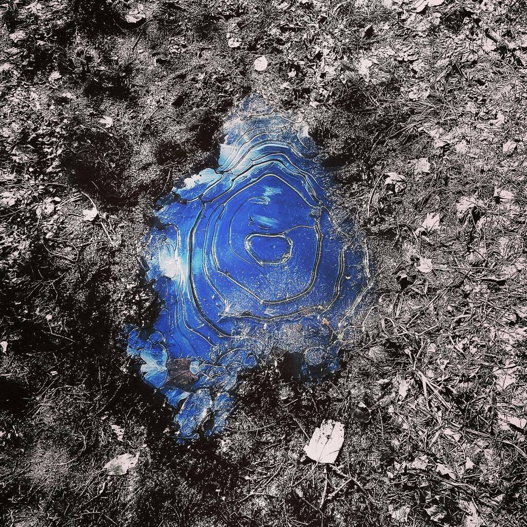 ItsTomMorton's tweet image. Frozen Sky. #chasingbeauty #reflectionphotography #puddlereflection #frozengram #splashofcolour #lookuplookdown instagr.am/p/CNQwhVzAle0/