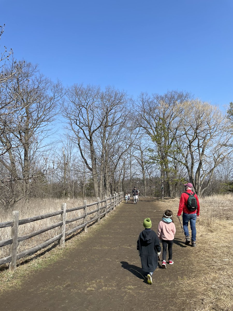 Back at it. Vista trail at Rouge Park in Scarborough. Much more colourful in the summer and fall, but we will take it. Lots of textured and scenic views. Wide trails.