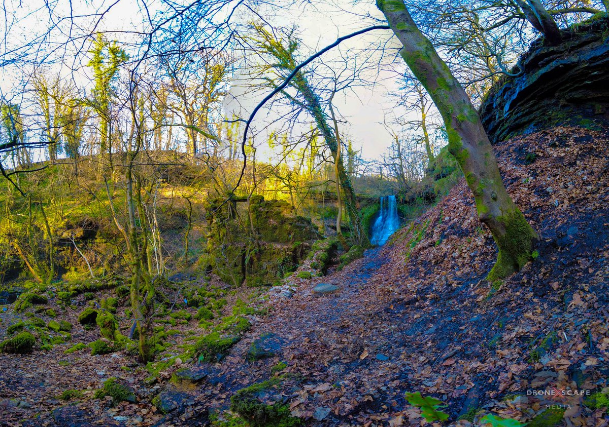 Dronexscape's tweet photo. Since the last post was Steve the drone this one is from baby DJI Osmo pocket
#drones
#droneshots #drone #dji
#dronestagram
#aerialphotography #dronephotography
#dronesdaily
#dronexscape #scotland #tianna #tiannawaterfalls #waterfalls #ayrshire #djiosmopocket2 #djiosmo https://t.co/oeMZk7EGVC