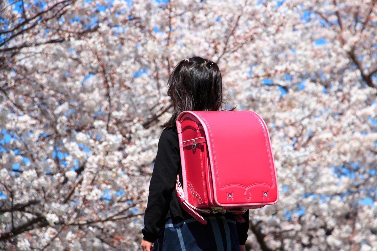Tokyo_gov's tweet photo. A common sight in anime, the #randsel school backpack is sure to bring back childhood memories for Japanese. Today it has gained popularity around the world and there are shops in #Tokyo selling trendy colorful versions. You can also find business versions made for adults too! https://t.co/jdiZ4UjYa6