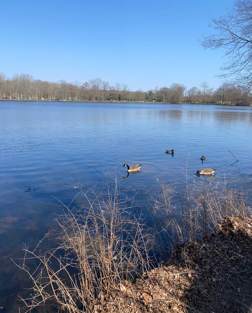 Easter hike 🐣 at Belmont Lake