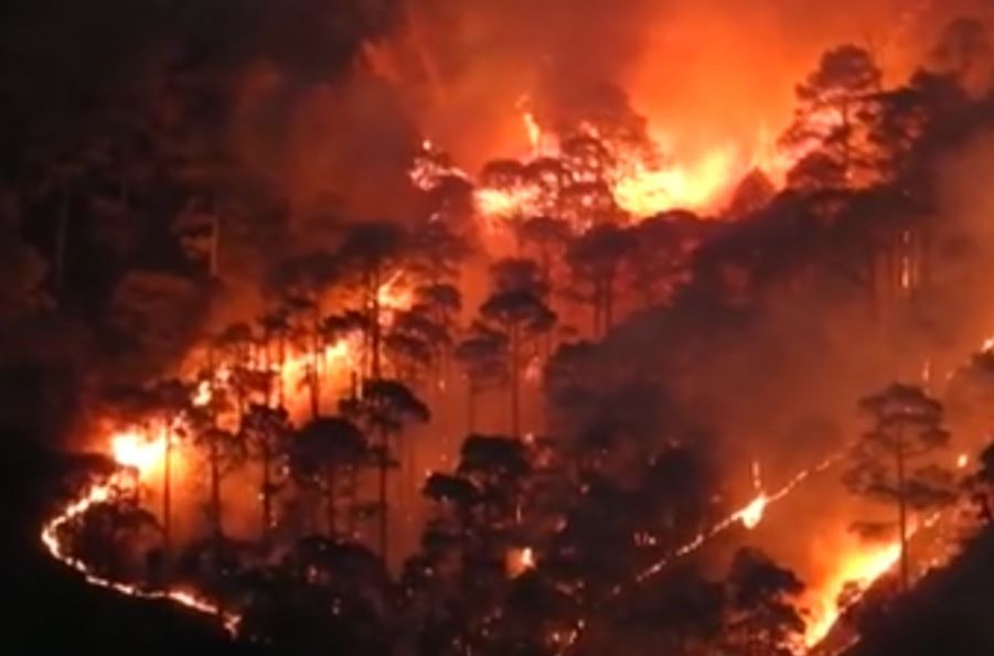#UttarakhandForestFire #UttarakhandBurning 
Forest fires are inevitable, this is as natural as the vegetation. The denser the Forests the more prone to the chances of catching fire. Almost every forest catches fire under favorable conditions. It is observed that forest fire 1/4