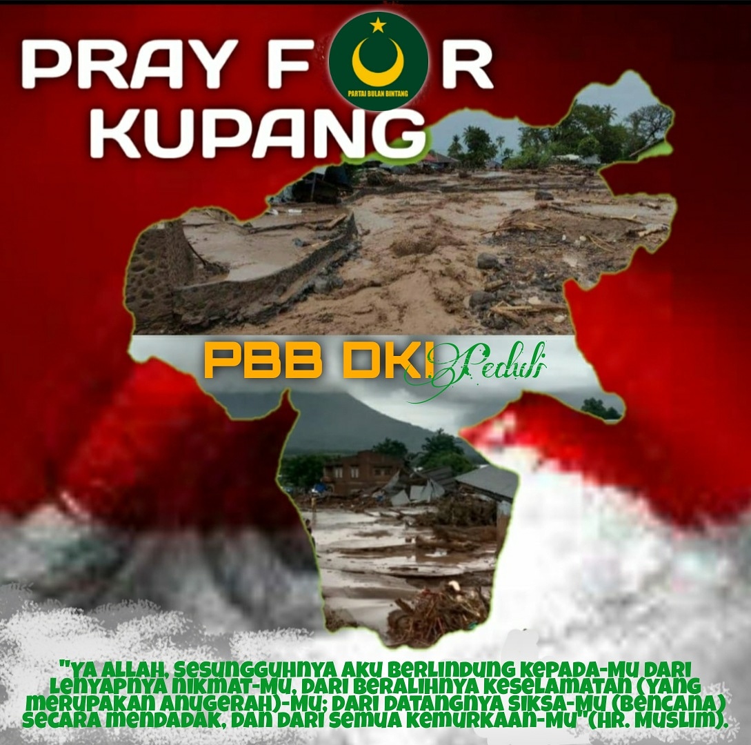 DPW PBB DKI Jakarta (@dkipbb) on Twitter photo 