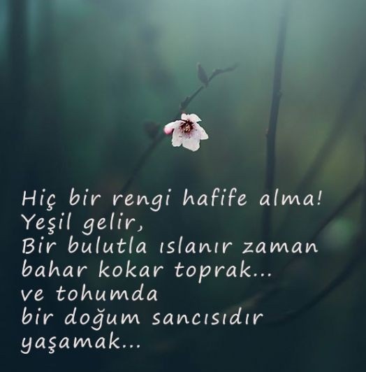 full_manyak's tweet photo. Günaydınn..
#günaydın #hayırlısabahlar
#pazartesi #mutluhaftalar #iyihaftalar #erkencitayfa https://t.co/OREKNNjySh