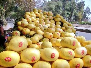 PakistanJannatt tweet picture
