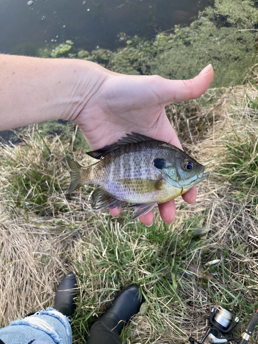 Happy Easter Sunday to all who celebrate. I had a relaxing day myself. #HappyEaster #TinyPrettyThings