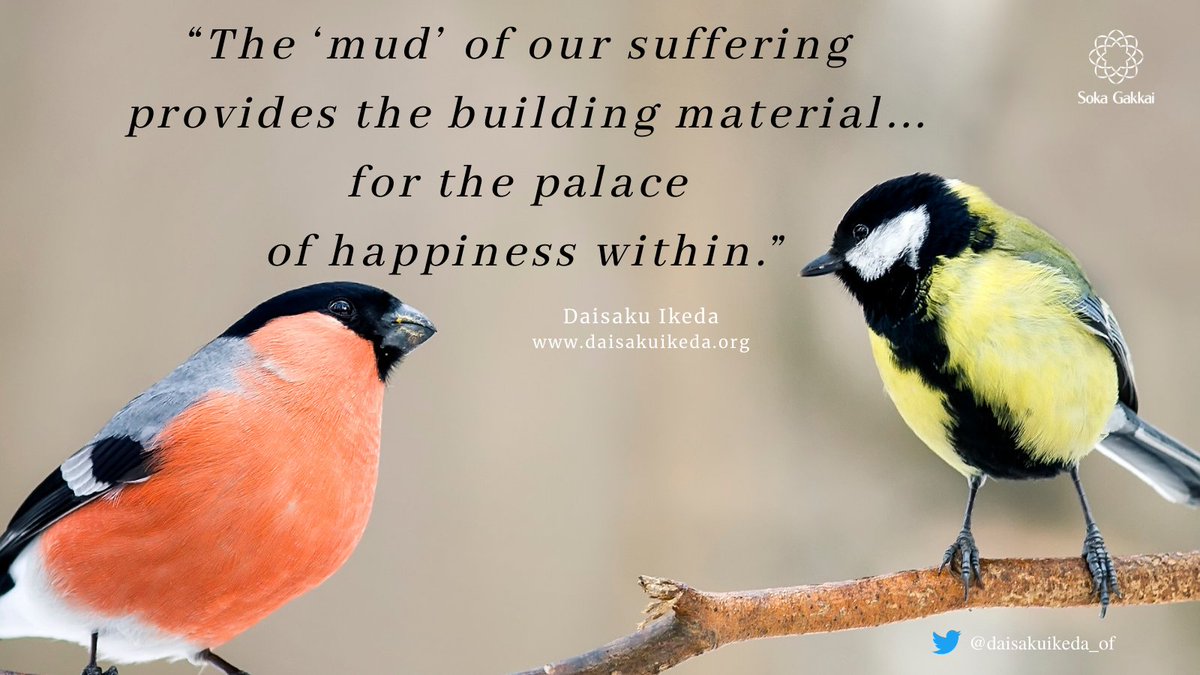 Though it might be difficult to appreciate at first, the 'mud' of our  suffering provides the building material from which we can erect a solid  bulwark for the palace of happiness within., image size:1200x675