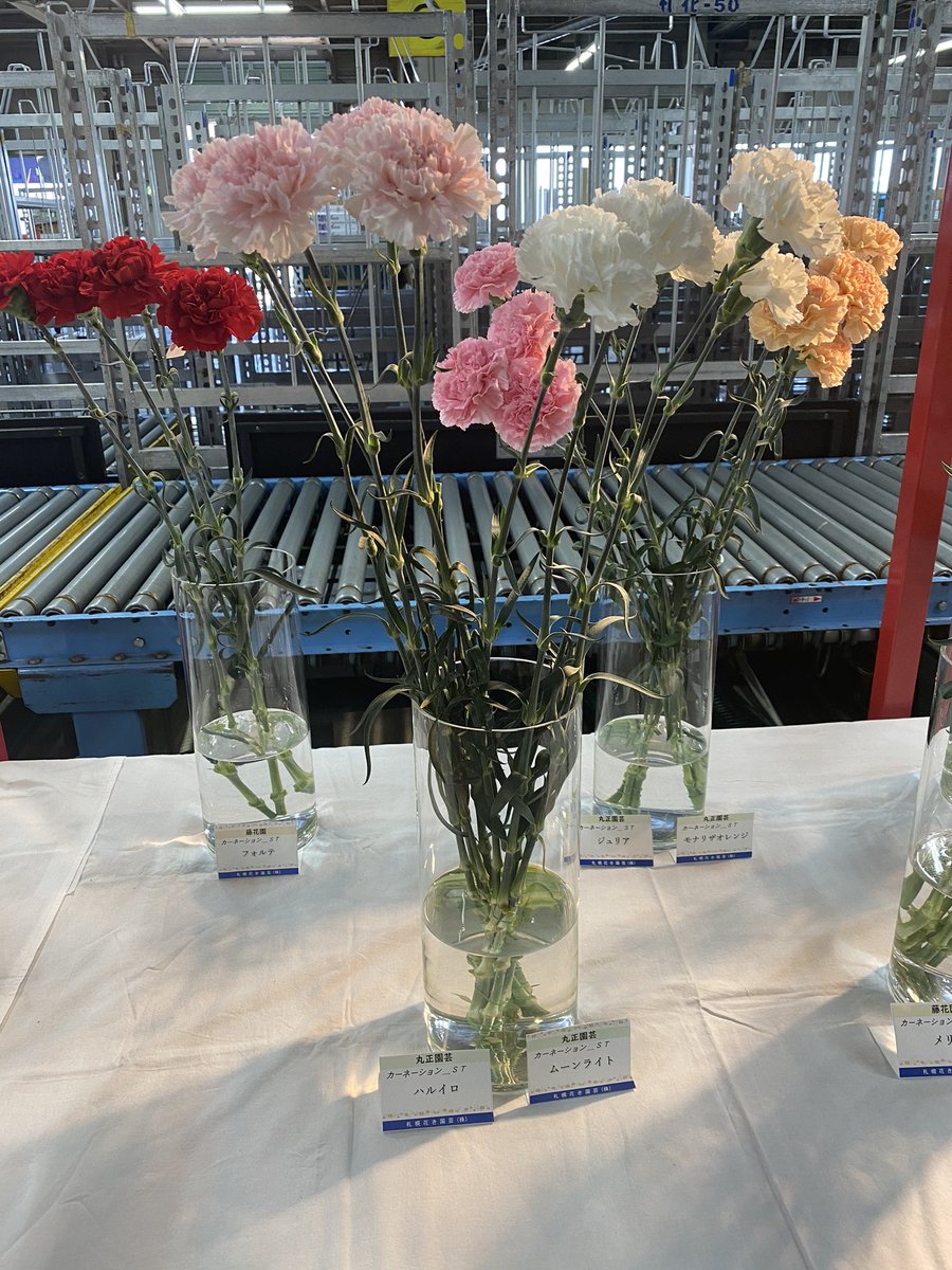 小鷹奈月 恵庭のバルーン フラワー Lafelice ﾗﾌｪﾘｰﾁｪ Natsuki Kotaka Twitter