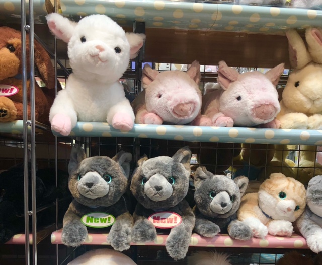 東京上野、ヤマシロヤ様地階売場に、ひざわんこ、ひざねこ新商品導入