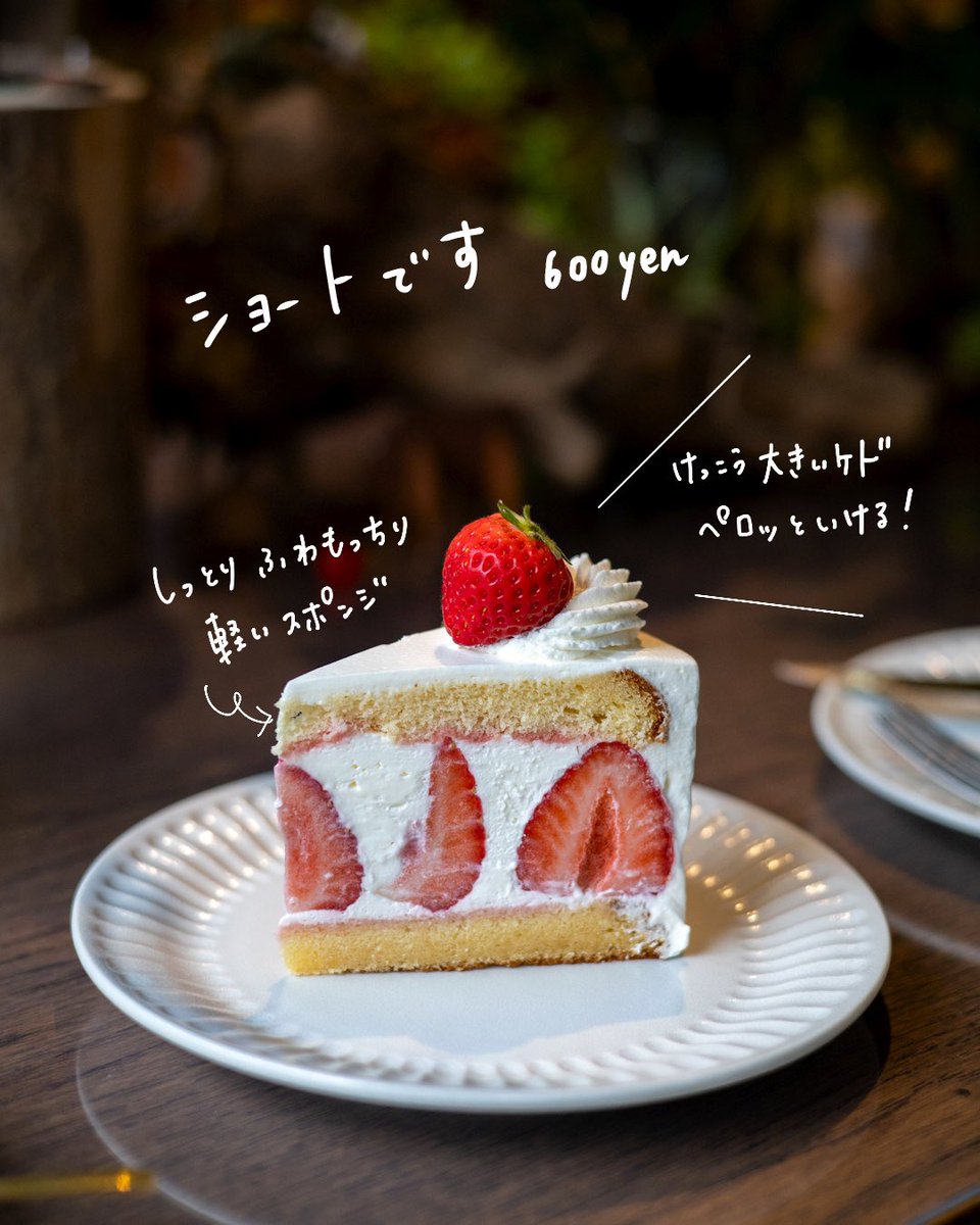 ナンシ スイーツ Nanshi Sweets 大阪本町 ドットカフェ さんのいちごフェア 今日までです 他にも いちごいっぱい 本当に好きなので ぜひインスタも見てください T Co Oyv6ytofu1