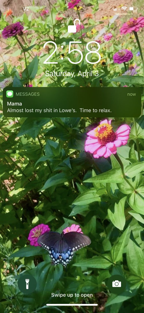 Anna Gatch tweet media